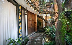 Majikal B&B - Kali